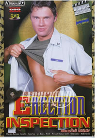 Erection Inspection