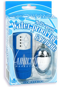 Blue Controller and Silver Egg Wp