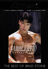 Best of Brad Stone, The