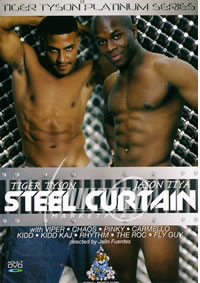 Steel Curtain
