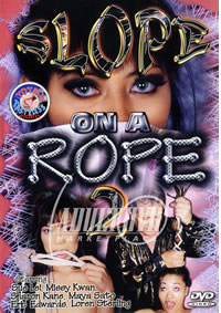Slope on a Rope 2