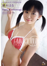 Kamikaze Premium 68 Haru Kashiwagi