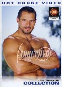 Arpad Miklos Collection