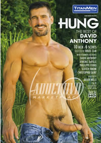 Hung: The Best Of David Anthony
