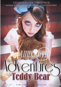 Adventures Of A Teddy Bear 1