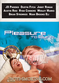 Pleasure To Burn