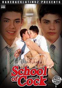 School Of Cock