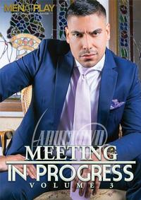 Meeting In Progress 3