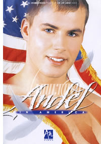 Andel In America