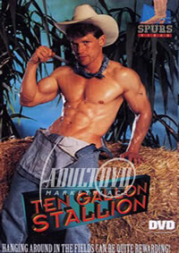 Ten Gallon Stallion