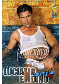 Luciano Endino Collection 1, The