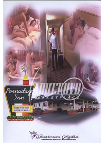 Porn-A-Day Inn