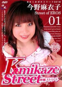 Kamikaze street 1