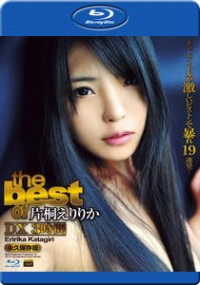 S Model 65: The Best Of Eririka Katagiri (Blu-ray)