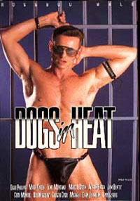 Dogs In Heat
