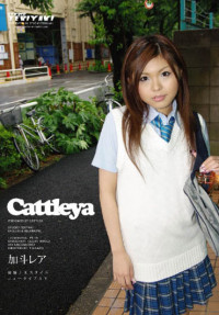 PT-18 Cattleya : Catt Leya