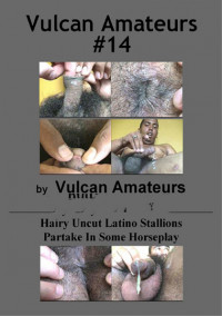 Vulcan Amateurs 14