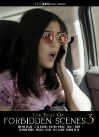 Best of Forbidden Scenes 3