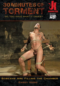 30 Minutes of Torment 4 - Screams Are Filling The Chamber