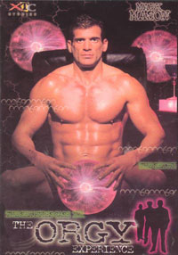 Orgy Experience, The