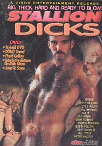 Stallion Dicks
