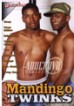 Mandingo Twinks