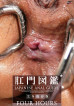 Japanese Anal Guide