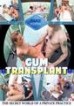 Cum Transplant