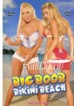 Big Boob Bikini Beach