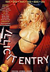 Illicit Entry