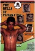 Bulls Of Tijuana 2, The