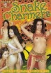Snake Charmers (Visual Images)